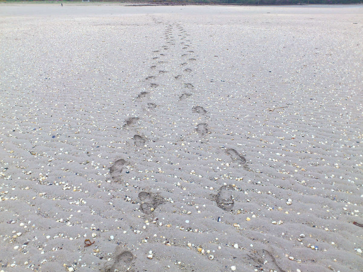 Liam Plant Counselling Psychotherapy Art Therapy Mindfulness Counselling-Supervision online in Dublin, Ireland